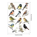 Watercolor bird sticker sheet dimensions 12x17cm for DIY scrapbooking and journal - Watercolor Birds (A641) / 1 Sheet (17x12cm)