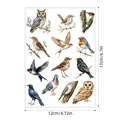 Detailed view of watercolor bird stickers set with dimensions 12x17cm (4.72x6.7in) - Watercolor Birds (A642) / 1 Sheet (17x12cm)