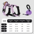 Reflektierendes lila Hundegeschirr und 1,5m Leine Set mit Größentabelle für Hunde - Geschirr und Leine Set / S / Hellviolett