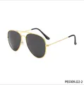 Classic gold frame aviator sunglasses with dark grey lenses for a stylish unisex look - Classic Aviator Style Sunglasses (PE0309J22-2) / Gold Frame/Black Lens