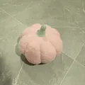 Charmant zacht roze pompoen pluche sierkussen met groene steel voor herfst decoratie - 28 cm / 0,25 kg / Roze Pompoen -- Groene Rank