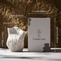 Κεραμικό βάζο Wabi-sabi με υφή, λεπτομερείς διαστάσεις και μινιμαλιστική συσκευασία δώρου - Μοντέλο-2 / Έγχρωμο Κουτί