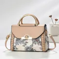Elegante borsa a mano beige con stampa paisley floreale e un manico superiore in metallo. - Kaki