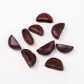 Entada Seed (PJ-412-1)