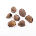 Indonesian Black Nut (PJ-412-1)
