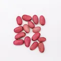 Drilled Sword Bean (PJ-412-1)