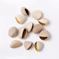 White Indonesian Nut (PJ-412-1)