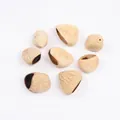 Polished Indonesian Nut (PJ-412-1)