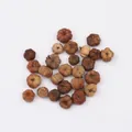 Mini Pumpkin Nut (PJ-412-1)