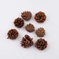Pine Cone (PJ-412-1)