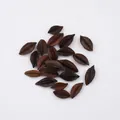 Pentagon Nut (PJ-412-1)