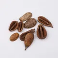 Pear Fruit Slice (PJ-412-1)