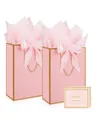 Pink gift bags with silk bows, gold trim, tissue paper, and Best Wishes greeting cards - 22.9*17.8*8 / Pink Background Gold Frame