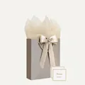 Close-up of grey gift bag with champagne bow, tissue paper, and greeting cards. - 22.9*17.8*8 / Champagne