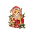 Spilla di Natale festiva con gatto scintillante in strass in una confezione regalo rossa - Arancione