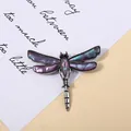 Macro detail of a vintage dragonfly brooch with iridescent purple abalone shell inlay - Purple Blue-Green Antique Style