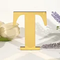 Gouden spiegel acryl letter T ornament voor huisdecoratie en ambachten - Letter: T / 5mm+1mm / Goud