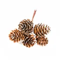 Natürliche Tannenzapfen mit Schnee für Weihnachts-DIY-Kränze und festliche Deko - Originalfarbe