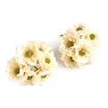 Ein Strauß cremefarbener künstlicher Gänseblümchen mit grünem Kern für DIY-Handwerk. - Champagner