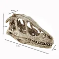 Detailliertes Dinosaurier Skelett aus Harz für Aquarien, 12,5 cm Länge Abmessung - G229