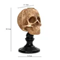 Hars schedel kandelaar voor Halloween decoratie, hoogte 18,5 cm - Beige Schedel (383)