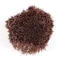 Makro-Detail von braunen perlmuttfarbenen Blütenstempel für künstliche Blumen DIY - 1 Bündel / Ca. 4000 Stück / Kaffeebraun