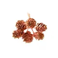 Detail van 6-koppige roségouden decoratieve dennenappels voor kerstknutselen - 1 Verpakking van 10 Bundels (Totaal 60 Stuks) / Vleesroze