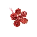 Set van 6 rode natuurlijke dennenappels met gouden randen voor kerstdecoratie DIY - 1 Verpakking van 10 Bundels (Totaal 60 Stuks) / Rood