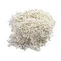 3mm weiße perlglanz-blütenstempel für kunstblumen und handgefertigten kopfschmuck - 1 Bündel (Ca. 1500 Stück) / Weiß