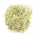 3mm cremefarbene künstliche Blütenstempel mit Perlglanz für DIY-Kopfschmuck Handarbeiten - 1 Bündel (Ca. 1500 Stück) / Gebrochenes Weiß