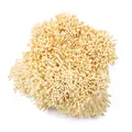 Hochwertige 2mm matte cremefarbene Blütenstempel für DIY handgefertigte Blumen - 2mm Matte Staubblatt 10 Bündel (ca. 4000 Stück, 180g) / Malzgelb