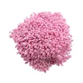 Dichtes Bündel von 3 mm rosa perlmuttartigen künstlichen Blütenstempeln für DIY-Bastelarbeiten - 1 Bündel (Ca. 1500 Stück) / Rosa