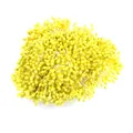 3mm hellgelbe perlmuttfarbene Blütenstempel für DIY Haarschmuck und Bastelprojekte - 1 Bündel (Ca. 1500 Stück) / Gelb