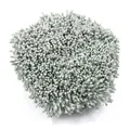 Hochwertige 2mm matte grüne künstliche Blütenstempel Streichholzkopf-Stil für DIY-Projekte - 10 Bündel (Ca. 4000 Stück) / Dunkelgrau