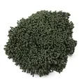 2mm matte dunkelgrüne künstliche Staubblätter Beeren DIY Handwerk Material - 10 Bündel (Ca. 4000 Stück) / Armeegrün