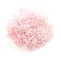 Rosa 1mm perlmuttfarbene Gips-Blütenstempel für DIY künstliche Blumenherstellung - 1 Bündel / Ca. 4000 Stück / Hellrosa