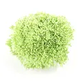 Bündel aus 1mm hellgrünen Perlmutt-Staubgefäßen für DIY-Bastelmaterialien für Blumen - 1 Bündel / Ca. 4000 Stück / Cyan