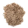 2 mm matte künstliche Blütenstaubblätter für DIY-Blumenbastelzubehör - 10 Bündel (Ca. 4000 Stück) / Hellkaffee