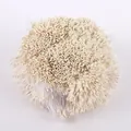 Bündel aus 1 mm cremefarbenen Perlglanz-Blumenstempel für DIY-Bastelarbeiten mit Kunstblumen - 1 Bündel / Ca. 4000 Stück / Elfenbein
