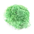 Hellgrüne 1mm perlmuttartige künstliche Staubblattmaterialien für DIY-Blumenhandwerke - 1 Bündel / Ca. 4000 Stück / Fluoreszierendes Grün