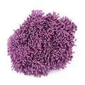 Detaillierte 2mm matte lila künstliche Blütenstempel für DIY-Blumenarrangements. - 10 Bündel (Ca. 4000 Stück) / Fuchsie