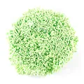 Packung mit 2 mm blassgrünen matten Gips-Blütenstempel für DIY-Blumenhandwerksprojekte - 10 Bündel (Ca. 4000 Stück) / Fluoreszierendes Grün