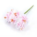 Detailaufnahme eines rosa-weißen Seiden-Chrysanthemenstraußes mit orangefarbenen Staubgefäßen - 1 Strauß 6 Blumen / Rosa