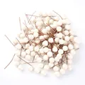 Künstliche weiße Beeren mit braunen Drahtstielen für DIY Weihnachts Hochzeitsdeko. - 1.0cm / Weiß