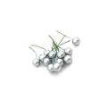 Set aus silbernen künstlichen Perlenbeeren mit grünem Draht für Weihnachts-DIY-Deko - 1.0cm / Silber