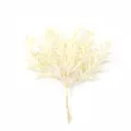 Eleganter cremeweißer künstlicher Samt-Sterngras-Strauß für DIY-Blumendekor und Hochzeit - Creme