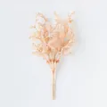 Künstlicher gefrosteter Zweig in Champagner Beige für Deko und florale Arrangements - -8 / 6 Zweige Pro Bündel
