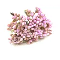 Nahaufnahme der realistisch gefrosteten rosa Beeren für DIY-Floristik-Dekorationen - 6 Zweige Pro Bündel / Rosa