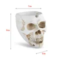 Vista detallada del cenicero de calavera de resina con medidas 8 cm alto y 7 cm. - Estilo de Calavera (Z132)