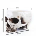 Detailed product dimensions of a realistic skull-shaped flower pot for Halloween decor - Distressed Ivory White Skull (H8171) / H8171